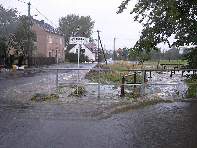 Zurck zur Bildbersicht