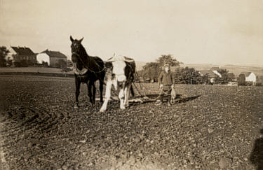 Entwicklung der Landwirtschaft