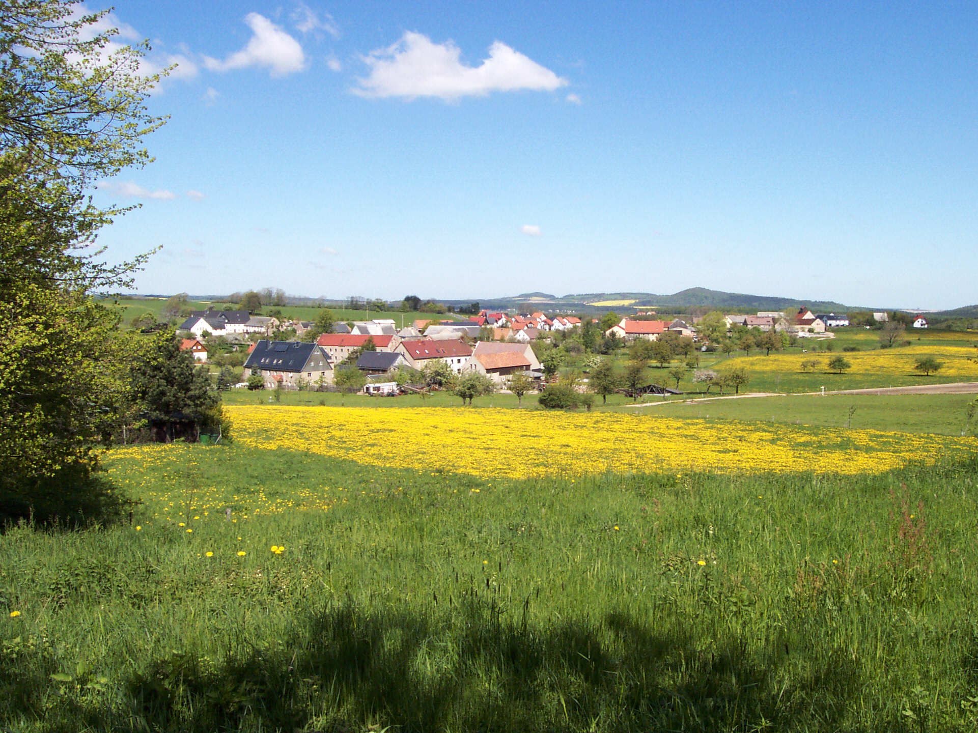 Zur�ck