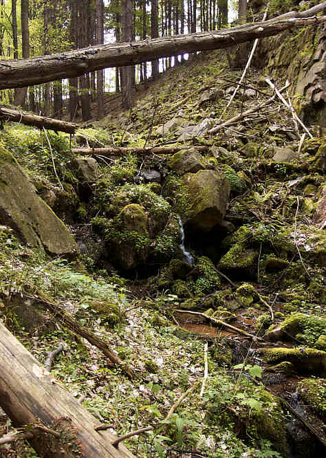 Zurck zur Wanderung