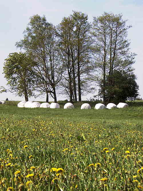 Zurck zur Wanderung