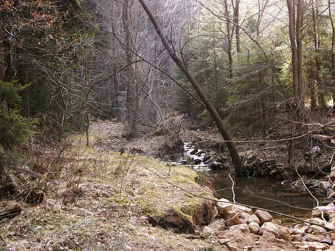 Zurck zur Wanderung