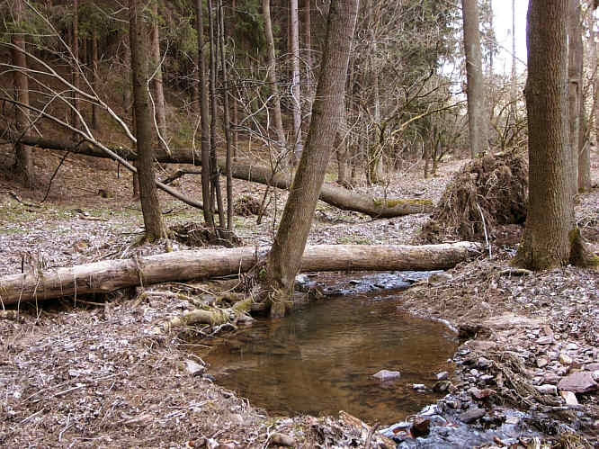 Zurck zur Wanderung