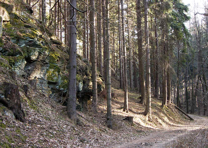 Zurck zur Wanderung