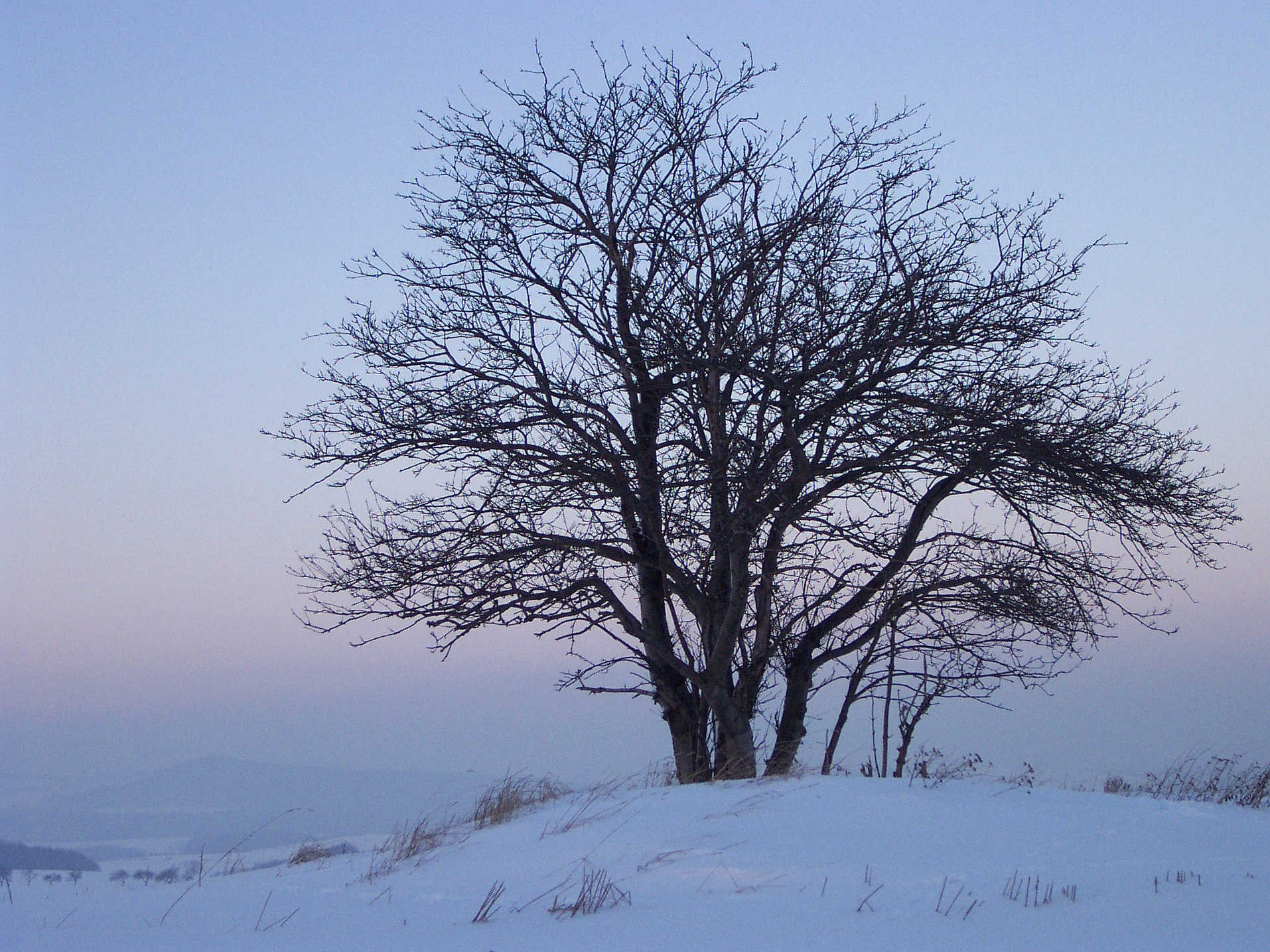 Zur�ck