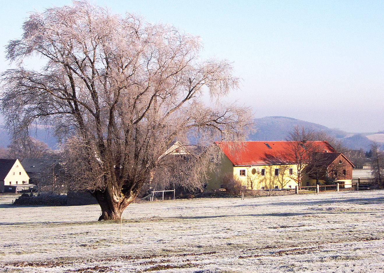 Zur�ck