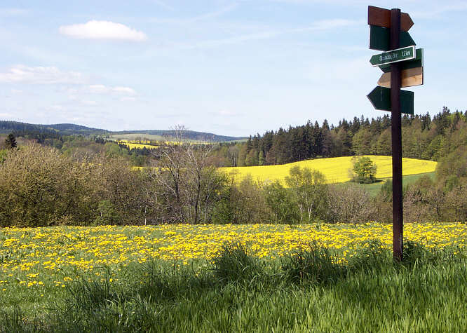 Zurck zum Spaziergang