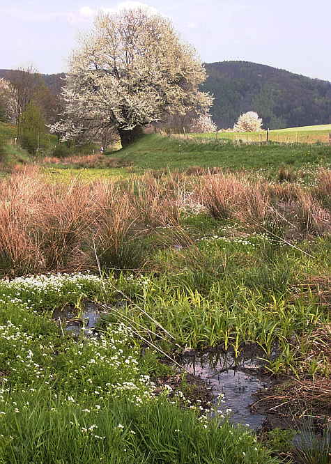 Zurck zur Wanderung