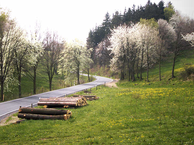 Zurck zurWanderung