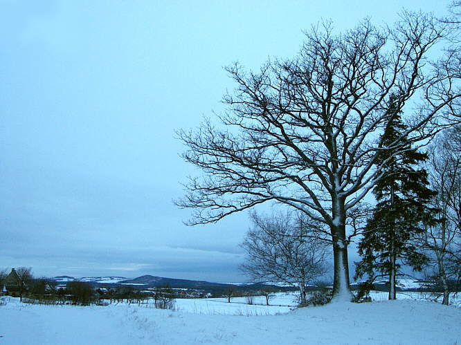 Zurck zur Wanderung