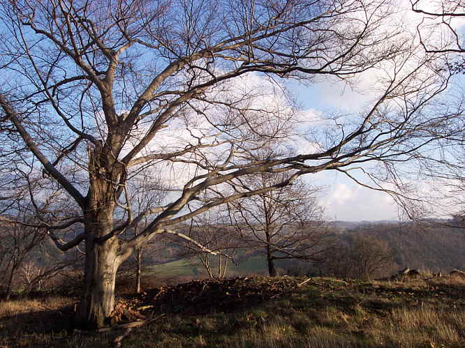 Zur�ck zur Wanderung