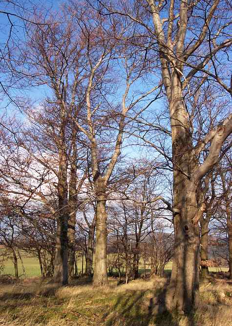 Zur�ck zur Wanderung