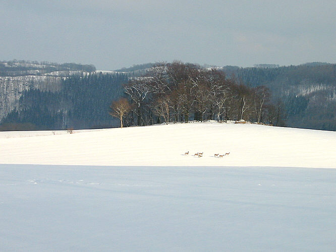 Zur�ck zur Wanderung