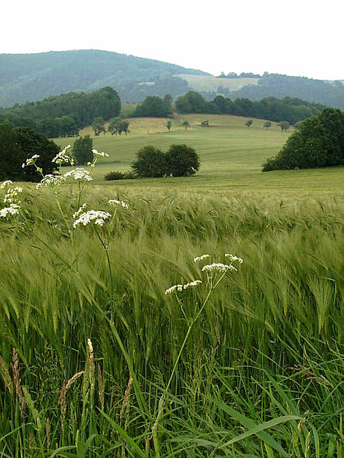 Zurck zur Wanderung