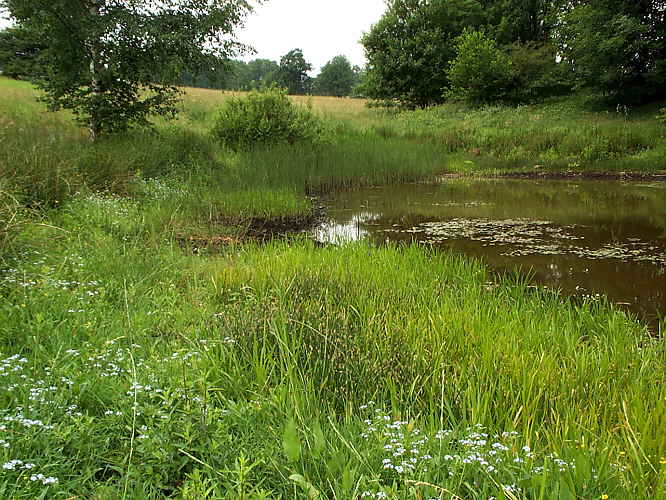 Zurck zur Wanderung