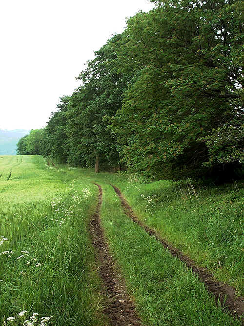 Zurck zur Wanderung