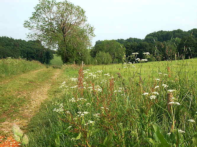 Zur�ck zur Wanderung