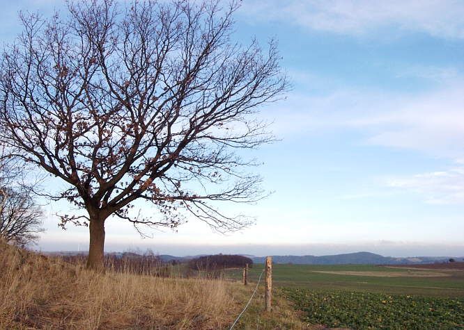 Zur�ck zur Wanderung