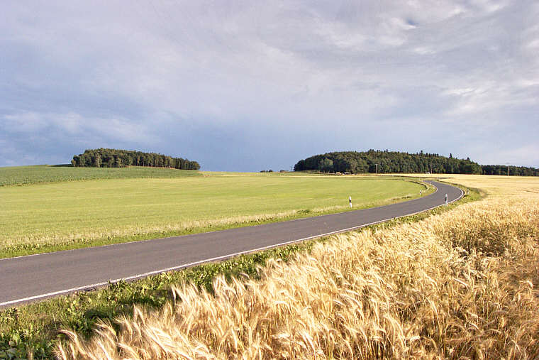 Zurck zur Wanderung