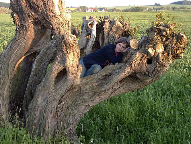 Zur�cj zur Wanderung