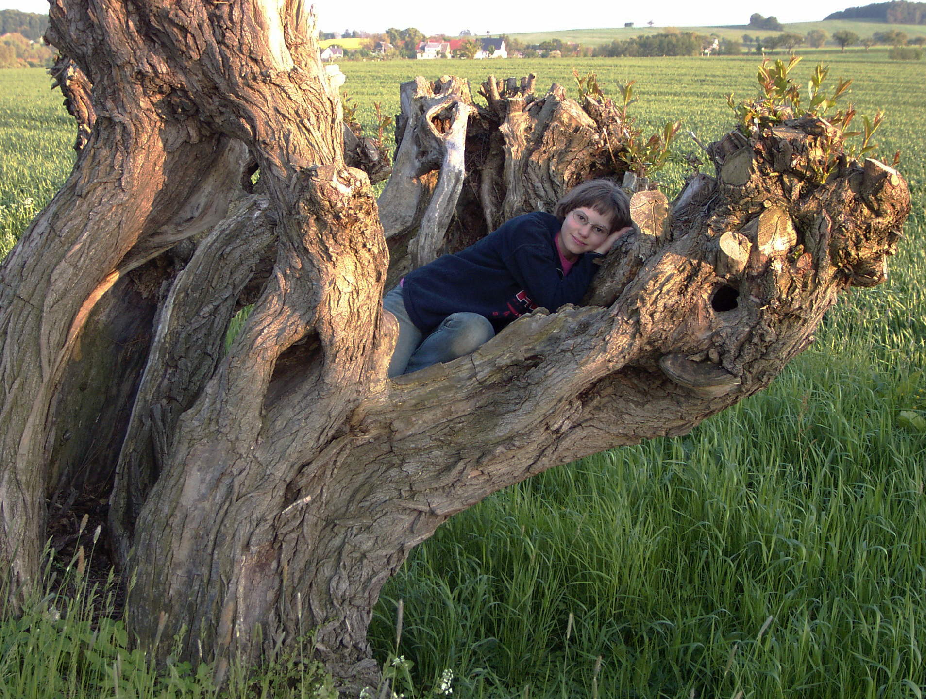 Zur�ck