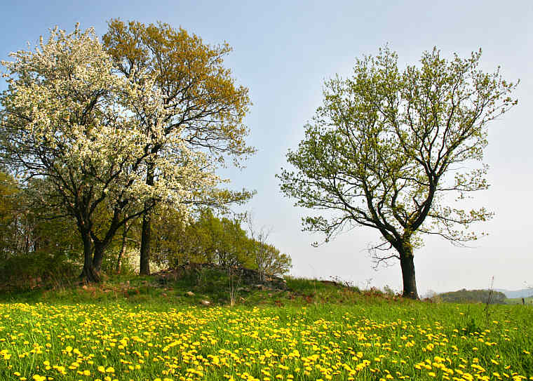 Zur�ck zur Wanderung