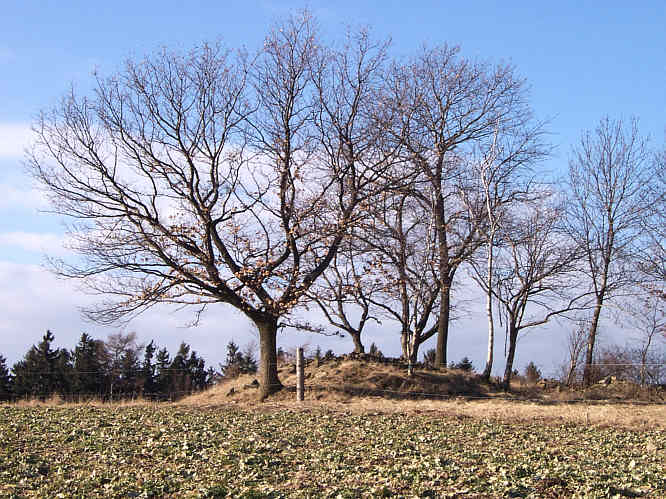 Zur�ck zur Wanderung