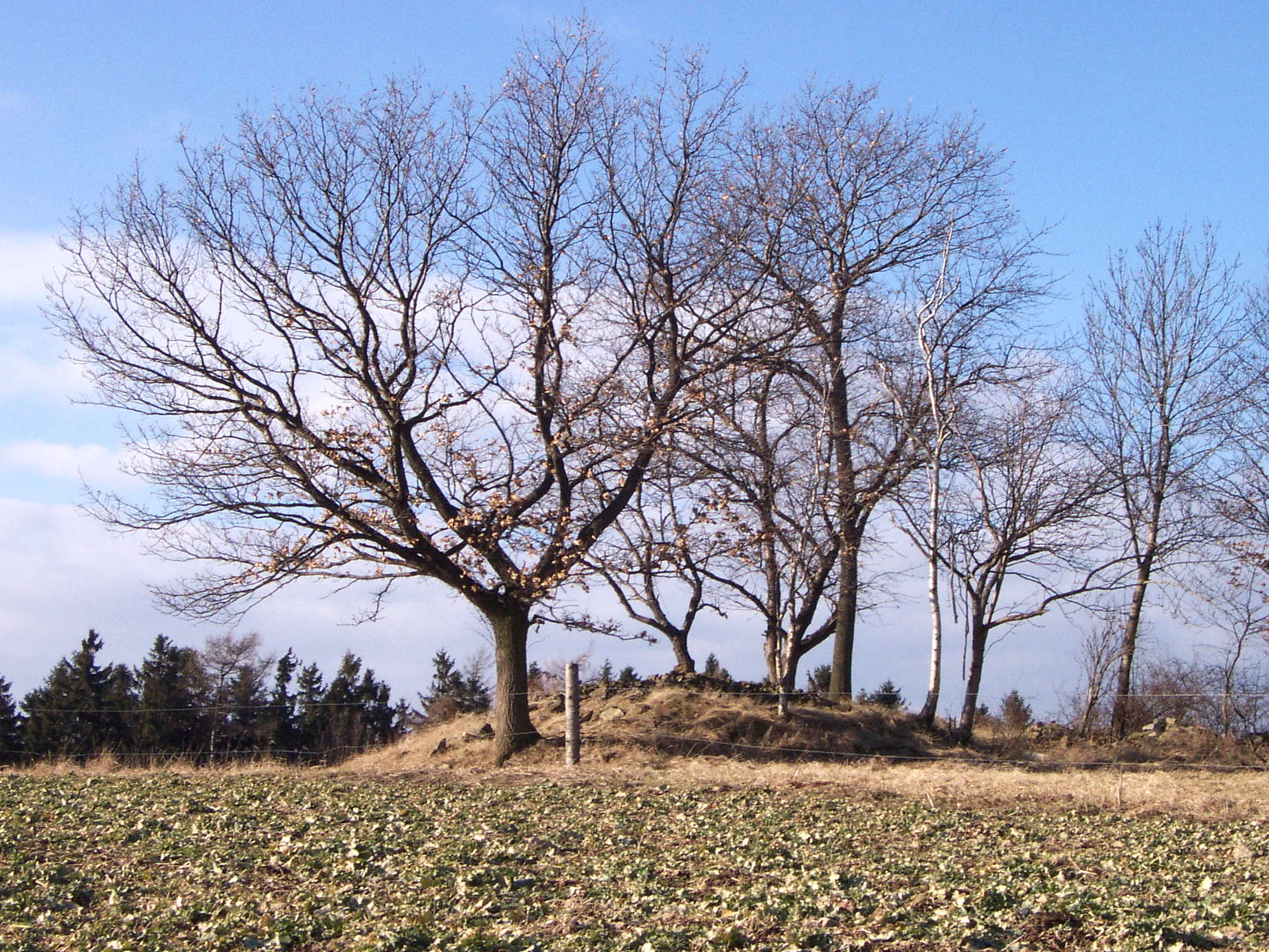Zur�ck