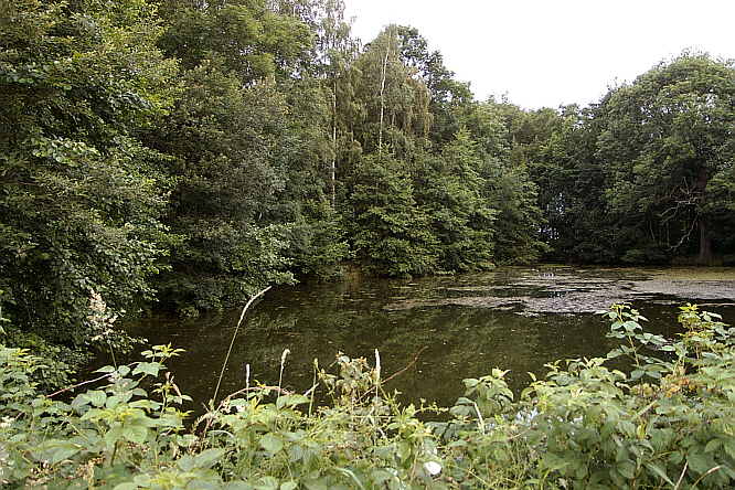 Zurck zur Wanderung