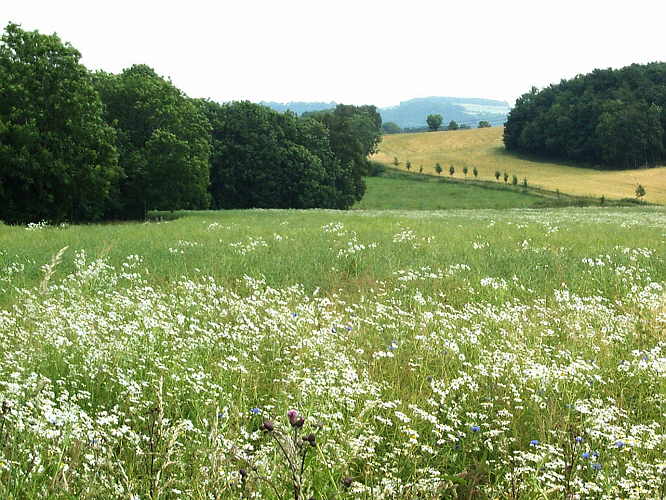 Zur�ck zur Wanderung