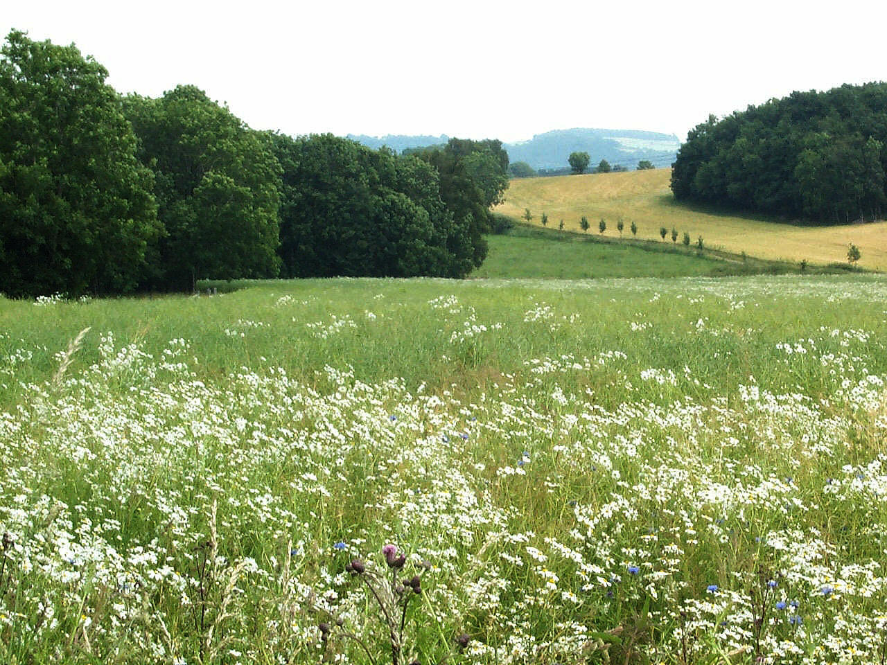 Zur�ck
